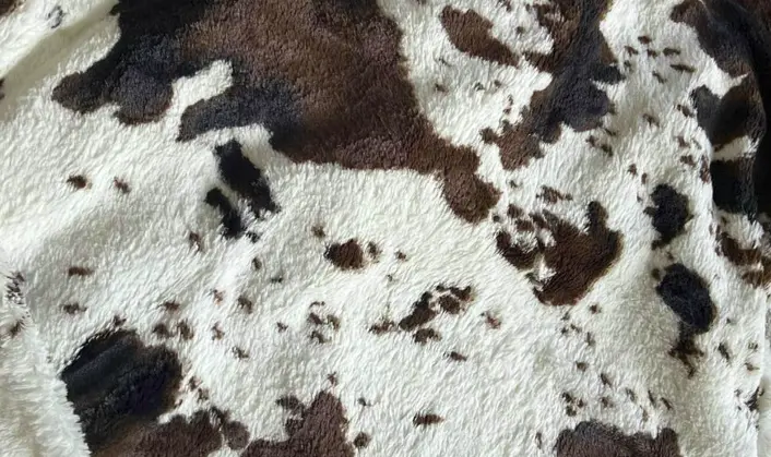Sherpa Fabric