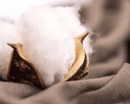 Is Cotton Really Breathable?